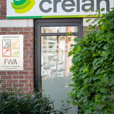 Photo de l'équipe AE Conseil