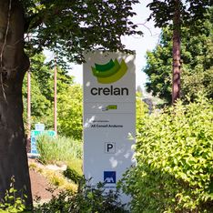 Photo de l'équipe AE Conseil